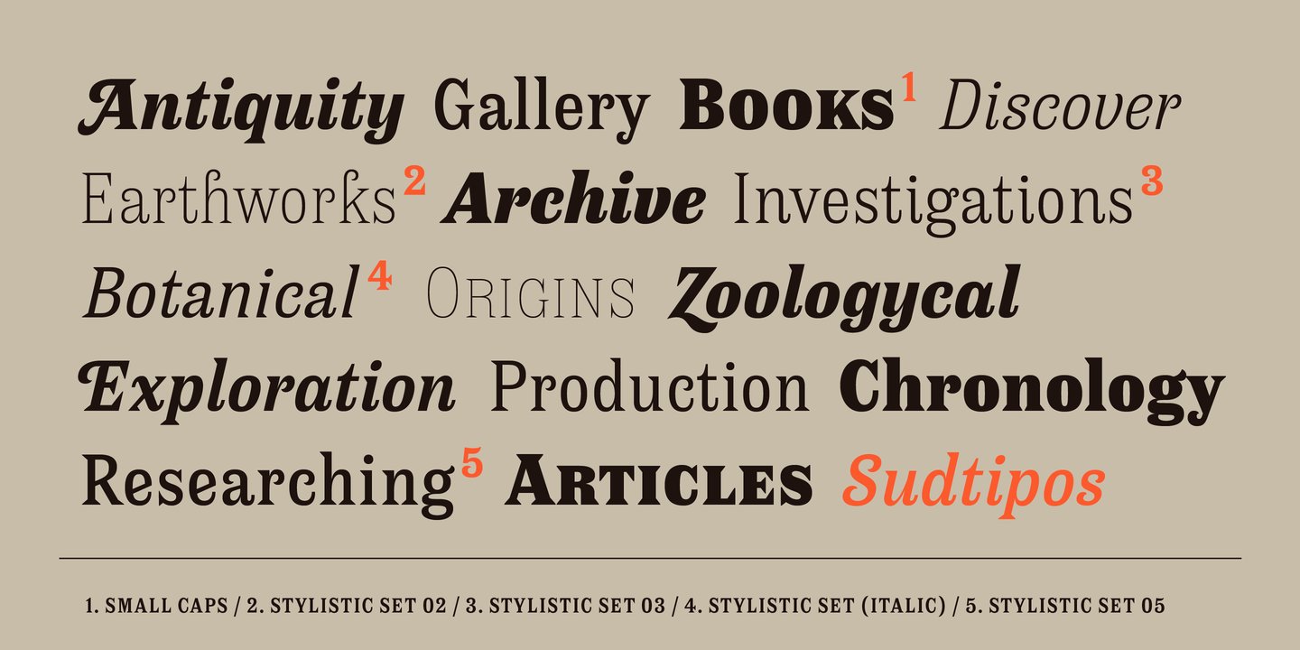 Antica Extra Bold Font preview